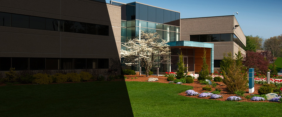 East Aurora Landscapers